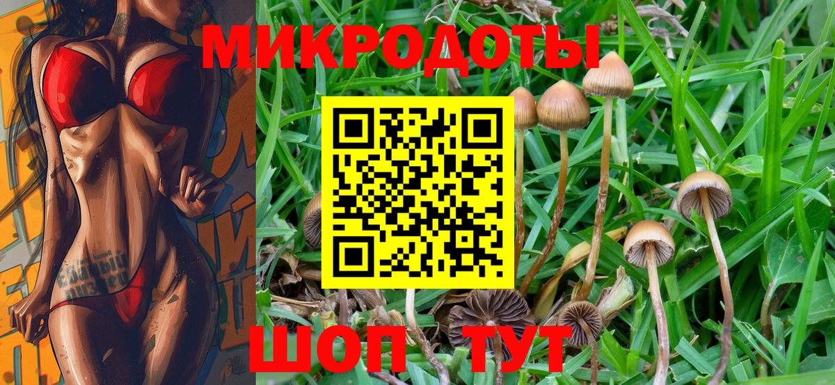 Галлюциногенные грибы ЛСД Гусиноозёрск