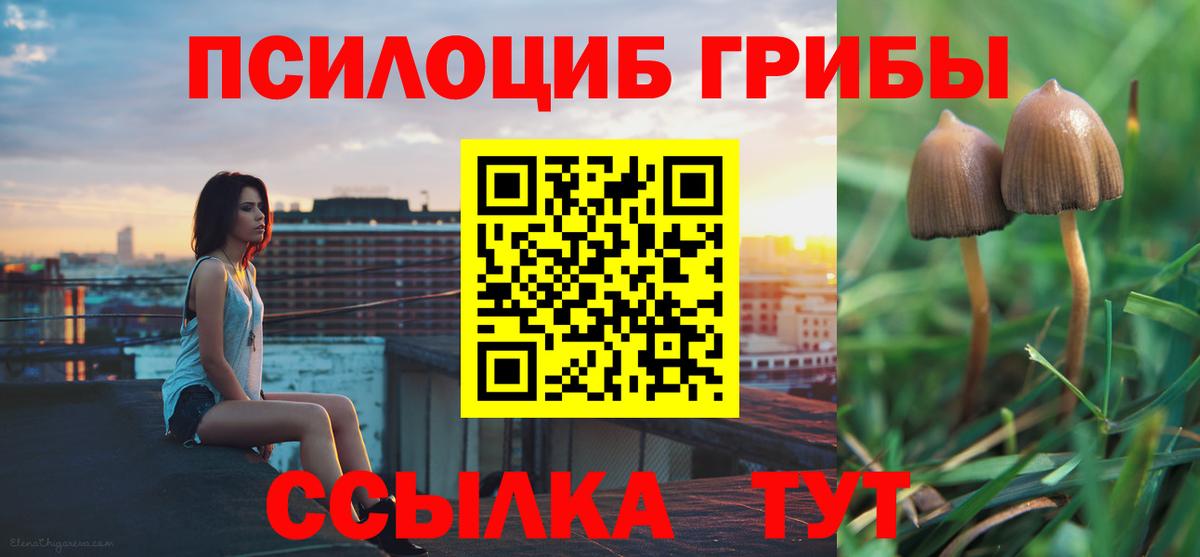 Гусиноозёрск  Псилоцибиновые грибы Psilocybine cubensis  Вход с VPN  где найти наркотики  Галлюциногенные грибы прущие грибы 